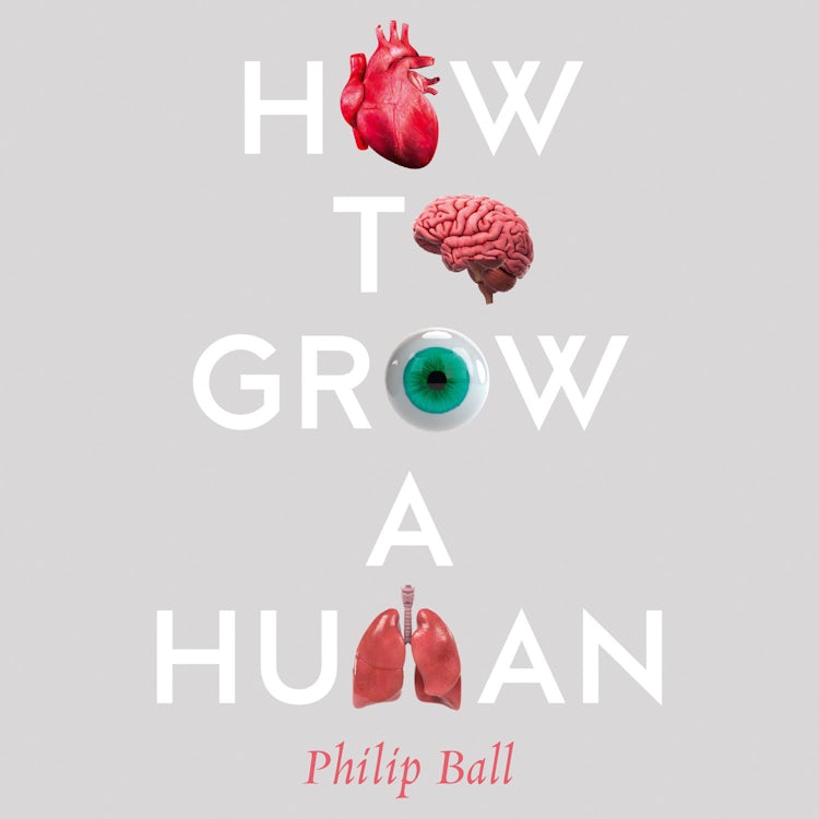 Cover image for How to Grow a Human: Adventures in Who We Are and How We Are Made, isbn: 9780008331801