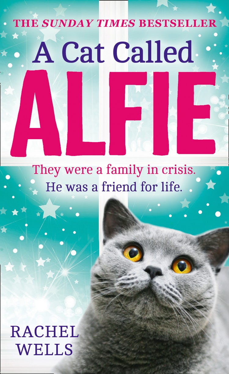 Cover image for A Cat Called Alfie, isbn: 9780008334673