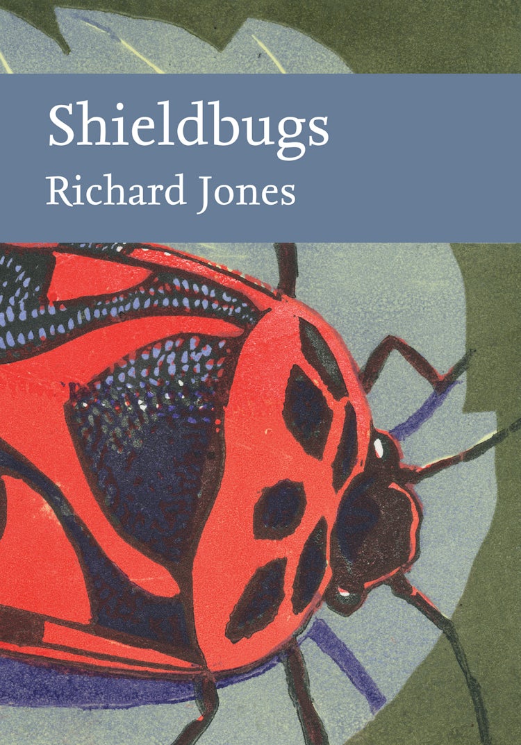 Cover image for Shieldbugs (Collins New Naturalist Library), isbn: 9780008334901