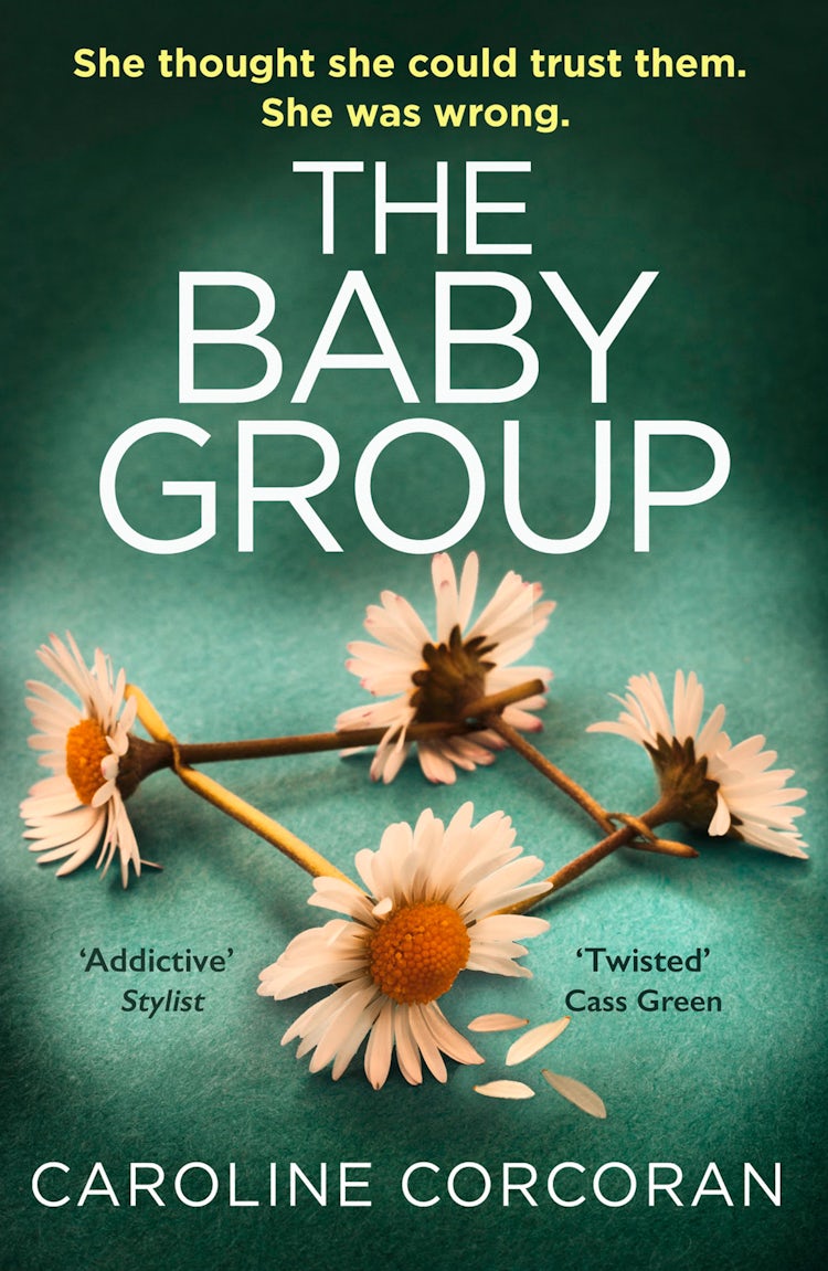 Cover image for The Baby Group, isbn: 9780008335137