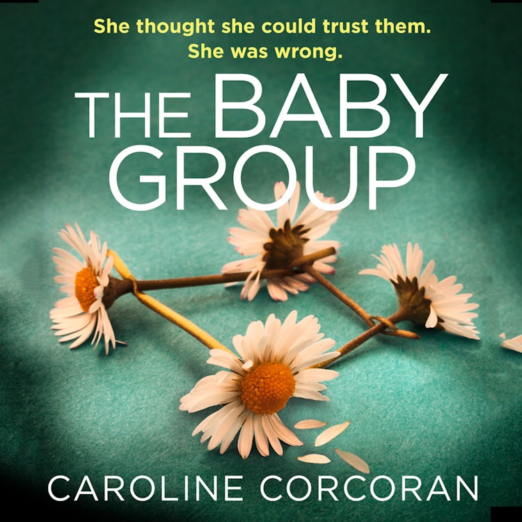 Cover image for The Baby Group: A gripping crime thriller with a twist you won’t see coming, from the bestselling author of Through The Wall, isbn: 9780008335144