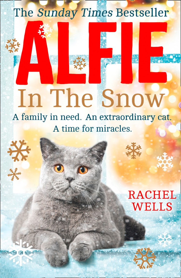 Cover image for Alfie In The Snow, isbn: 9780008339777