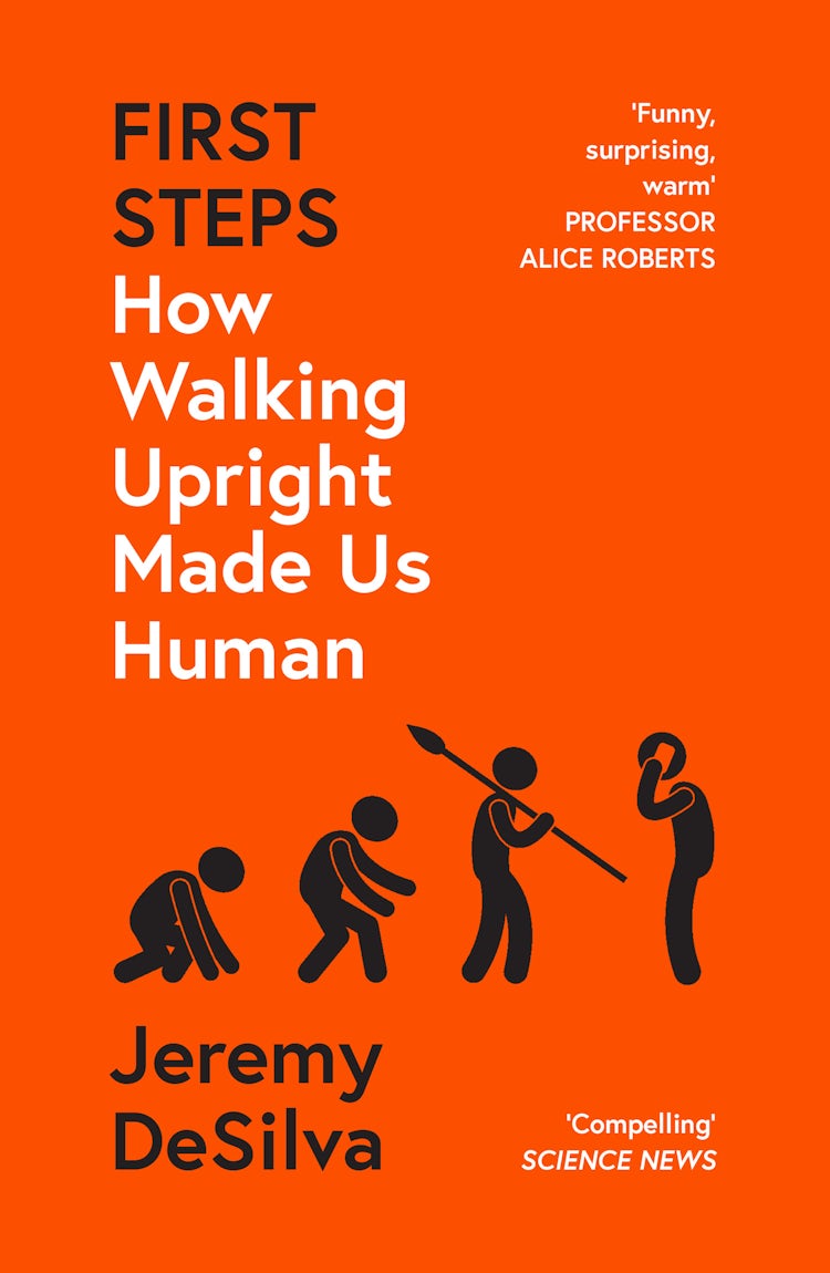 Cover image for First Steps: How Walking Upright Made Us Human, isbn: 9780008342852