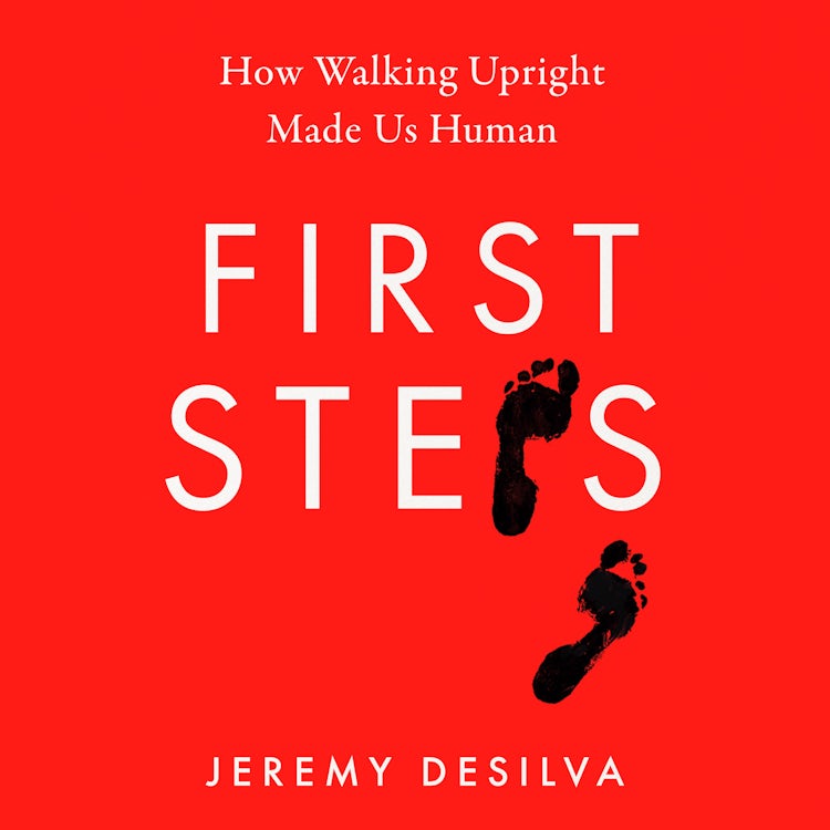 Cover image for First Steps: How Walking Upright Made Us Human, isbn: 9780008342869