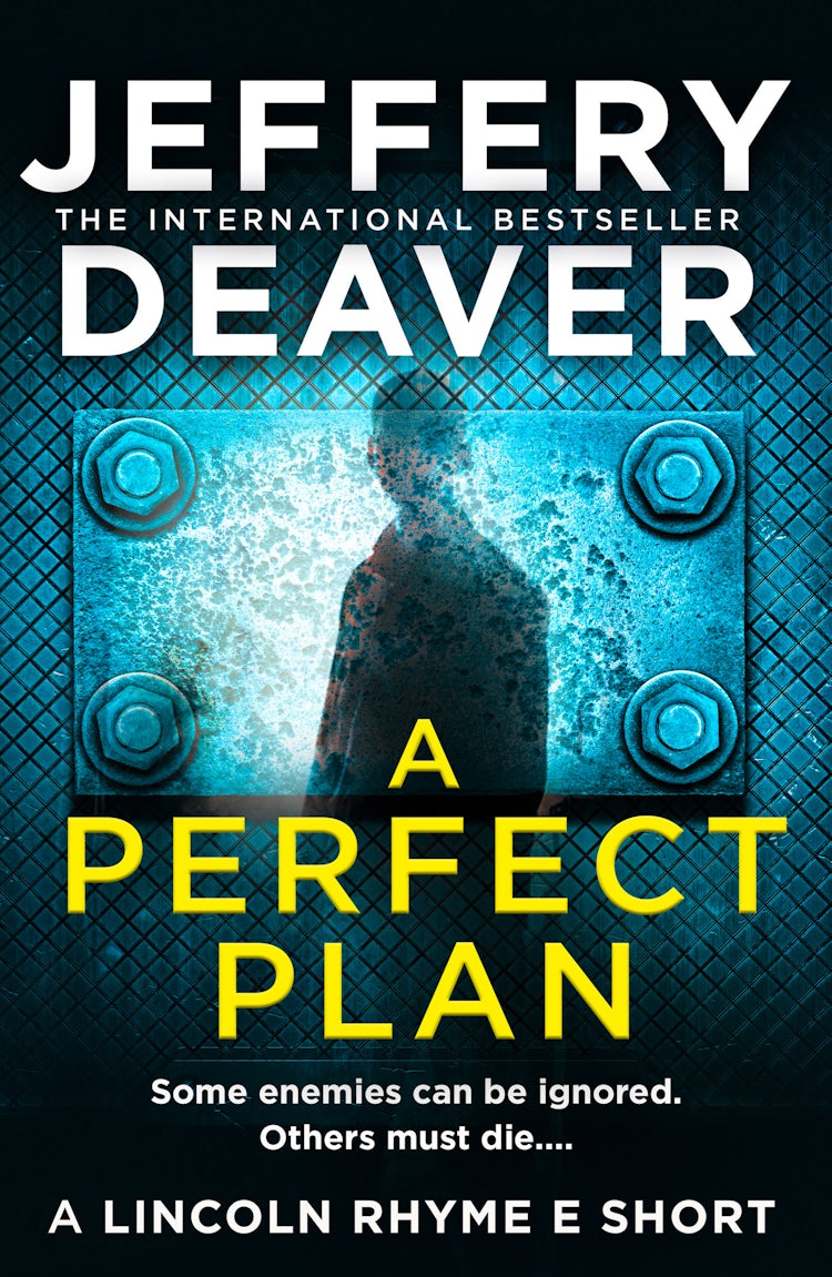Cover image for A Perfect Plan, isbn: 9780008346911