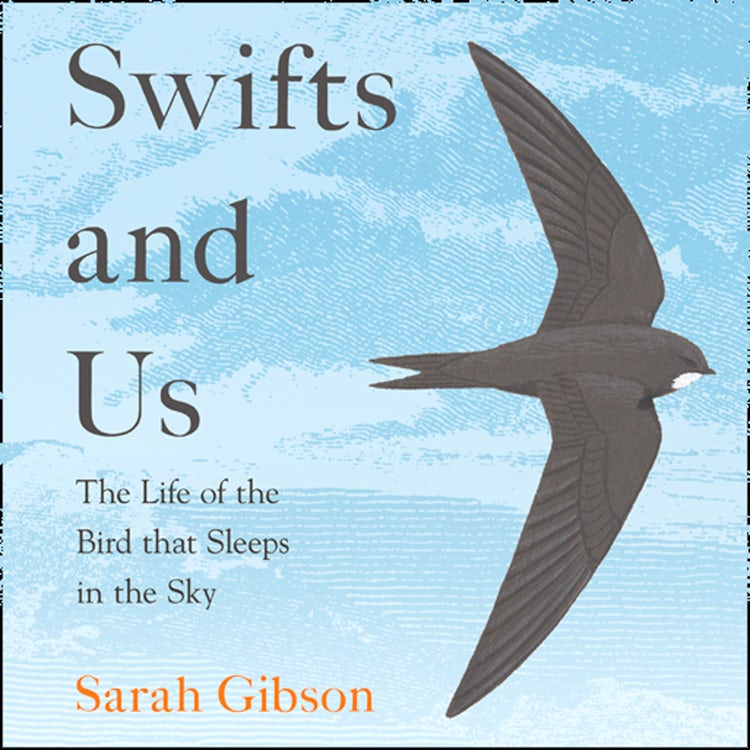 Cover image for Swifts and Us: The Life of the Bird that Sleeps in the Sky, isbn: 9780008350659