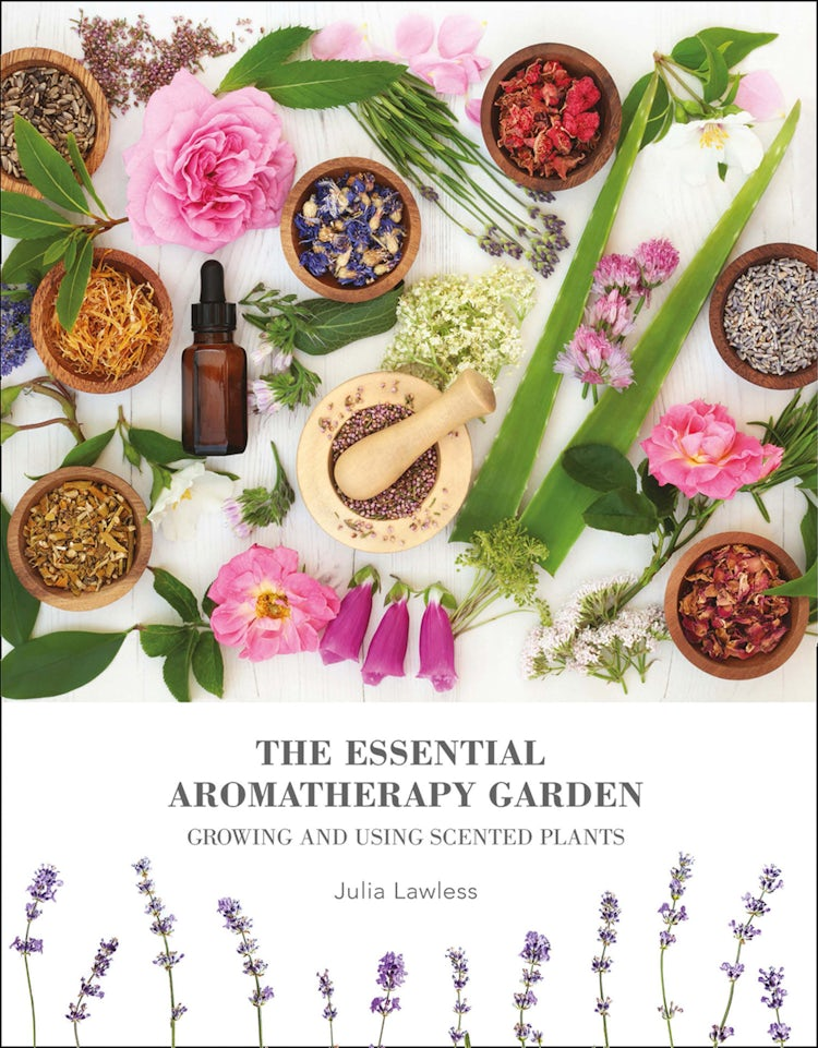 Cover image for The Essential Aromatherapy Garden: Growing & using scented plants, isbn: 9780008351854