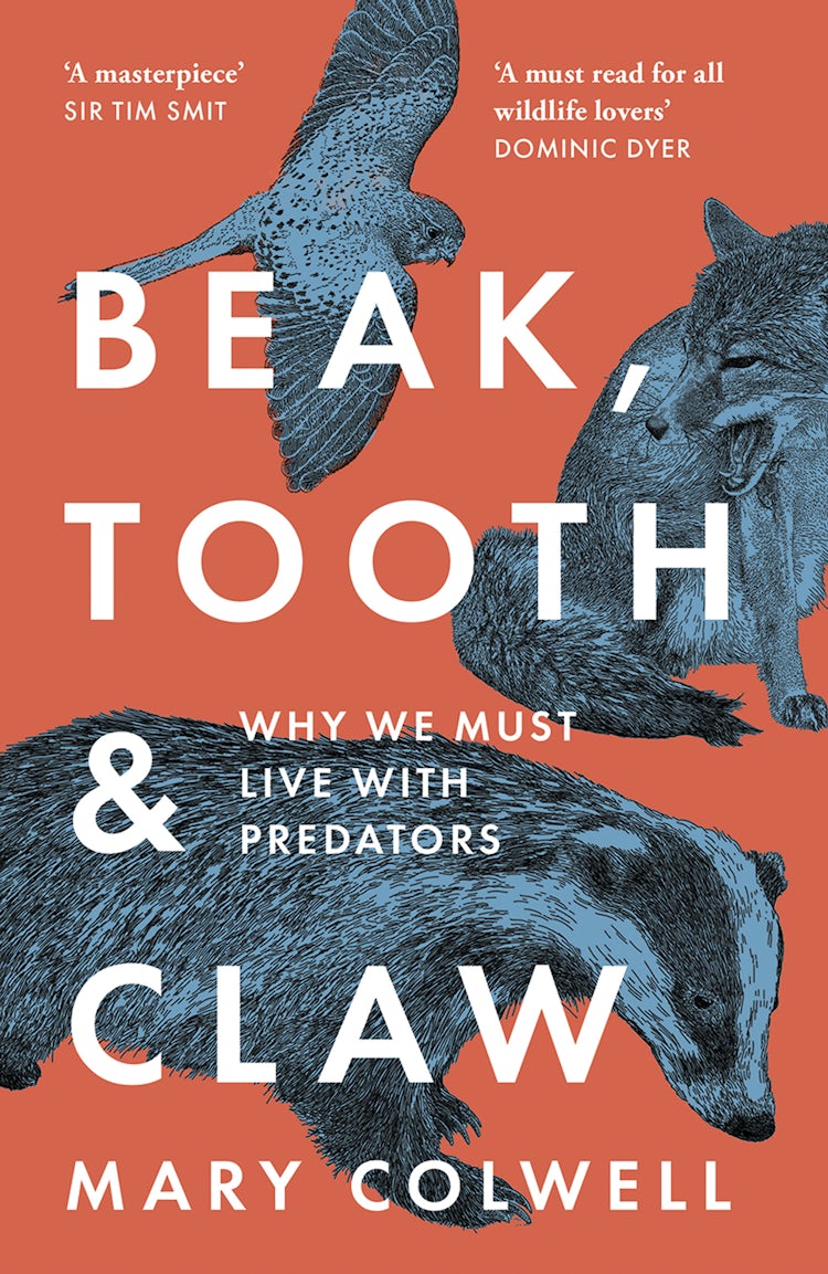 Cover image for Beak, Tooth and Claw: Living with Predators in Britain, isbn: 9780008354770