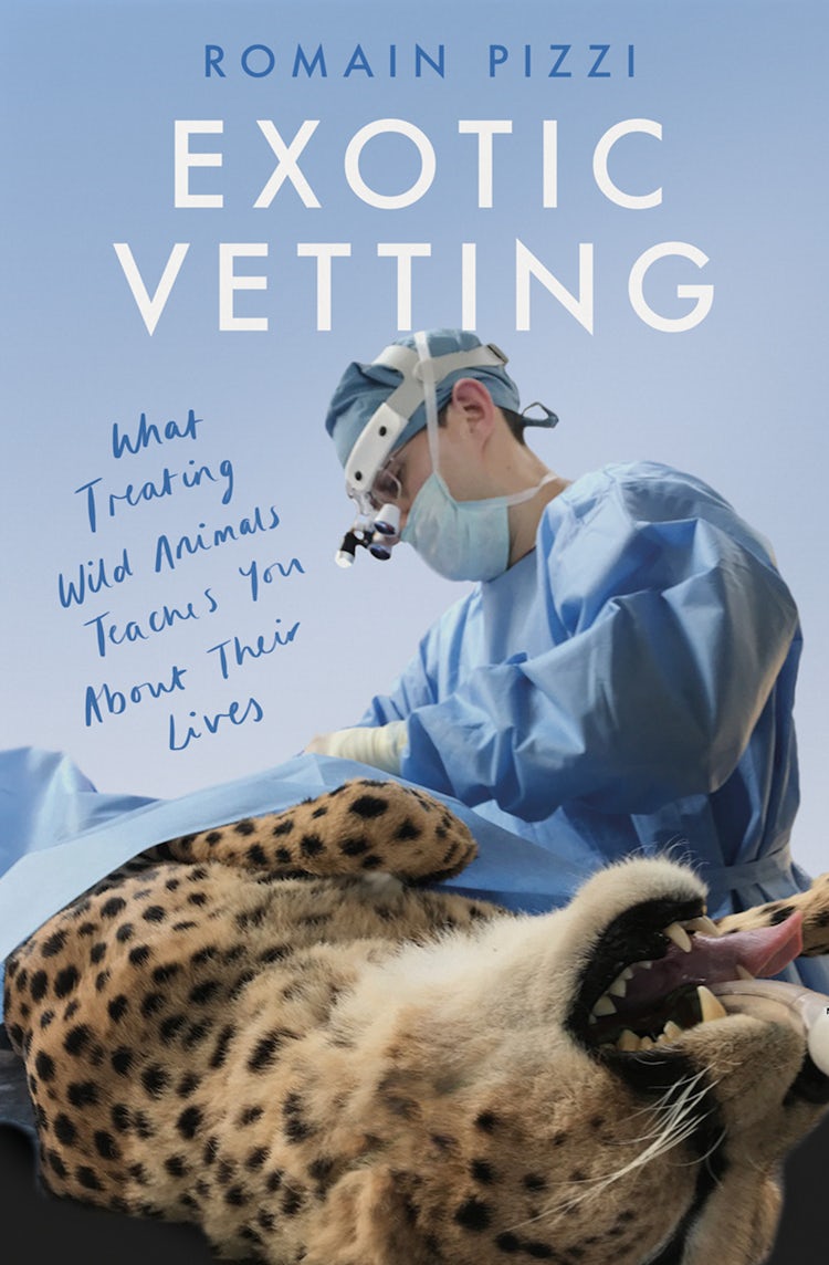 Cover image for Exotic Vetting: What Treating Wild Animals Teaches You About Their Lives, isbn: 9780008356750