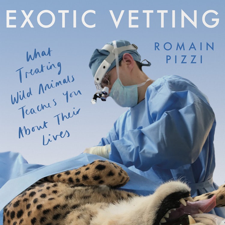 Cover image for Exotic Vetting: What Treating Wild Animals Teaches You About Their Lives, isbn: 9780008356774