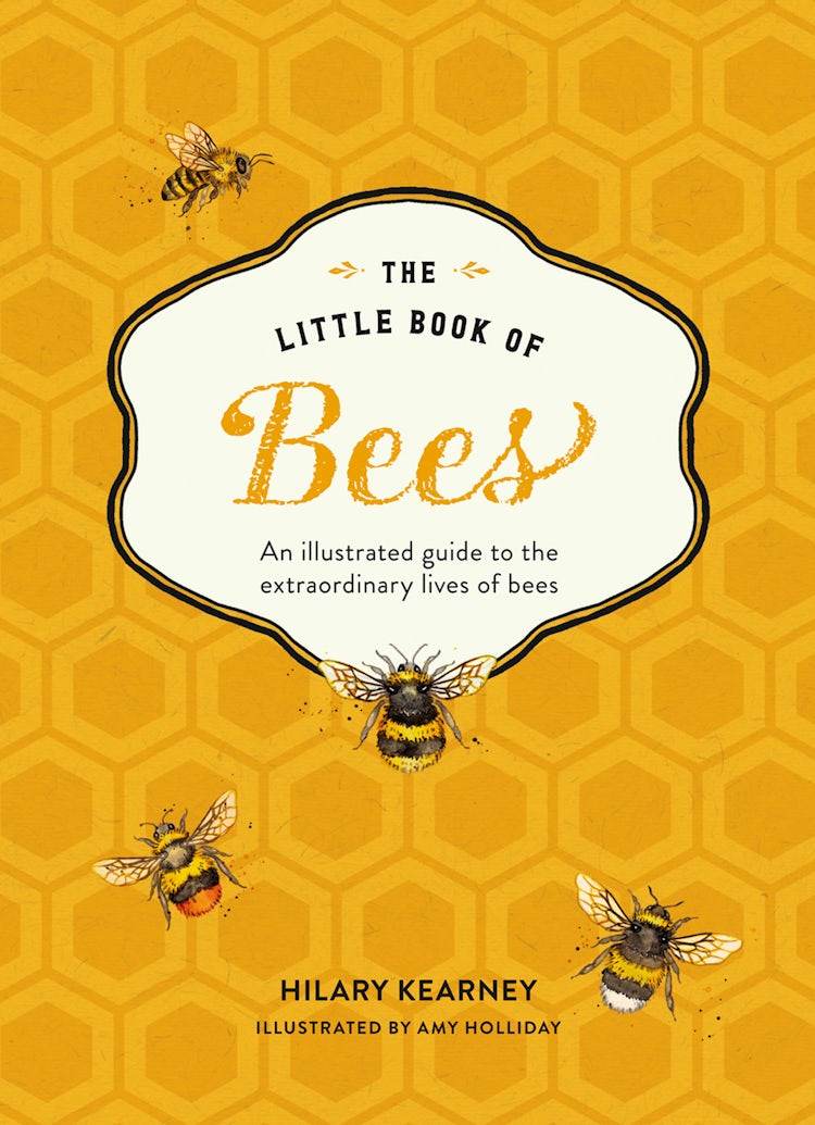 Cover image for The Little Book of Bees: An illustrated guide to the extraordinary lives of bees, isbn: 9780008359805
