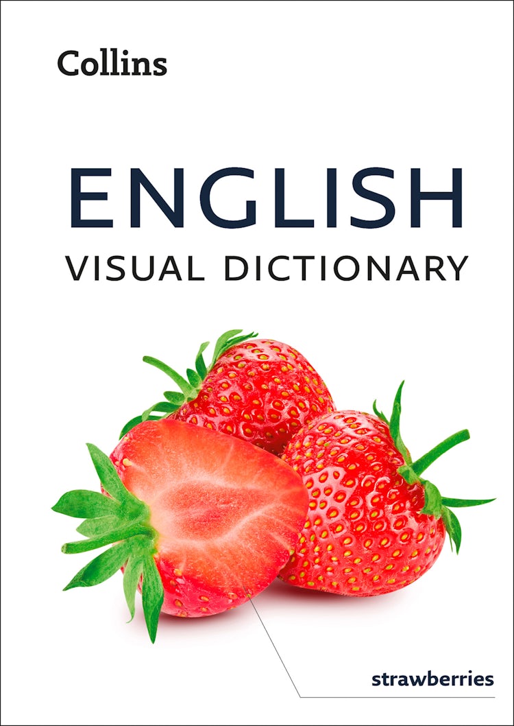 Cover image for English Visual Dictionary: A photo guide to everyday words and phrases in English (Collins Visual Dictionary), isbn: 9780008372286
