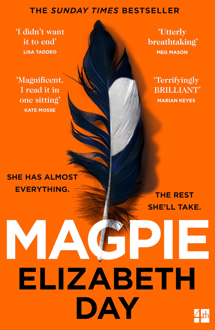 Cover image for Magpie, isbn: 9780008374983