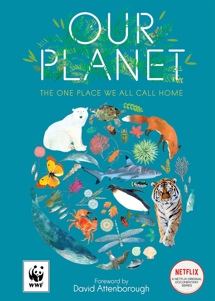 Cover image for Our Planet: The One Place We All Call Home, isbn: 9780008375256