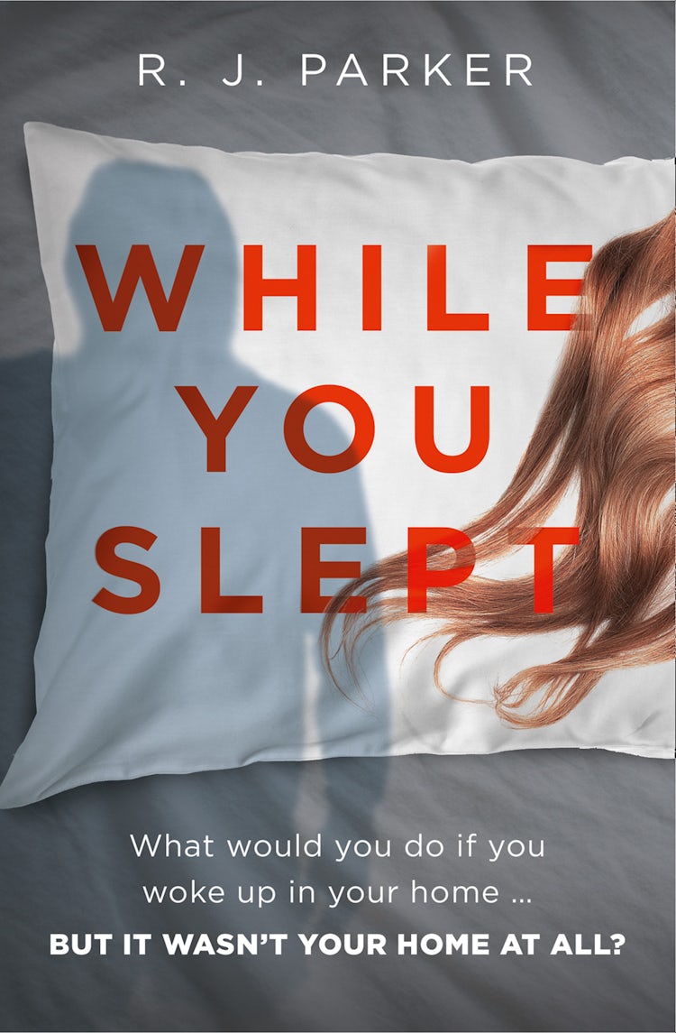 Cover image for While You Slept, isbn: 9780008382797