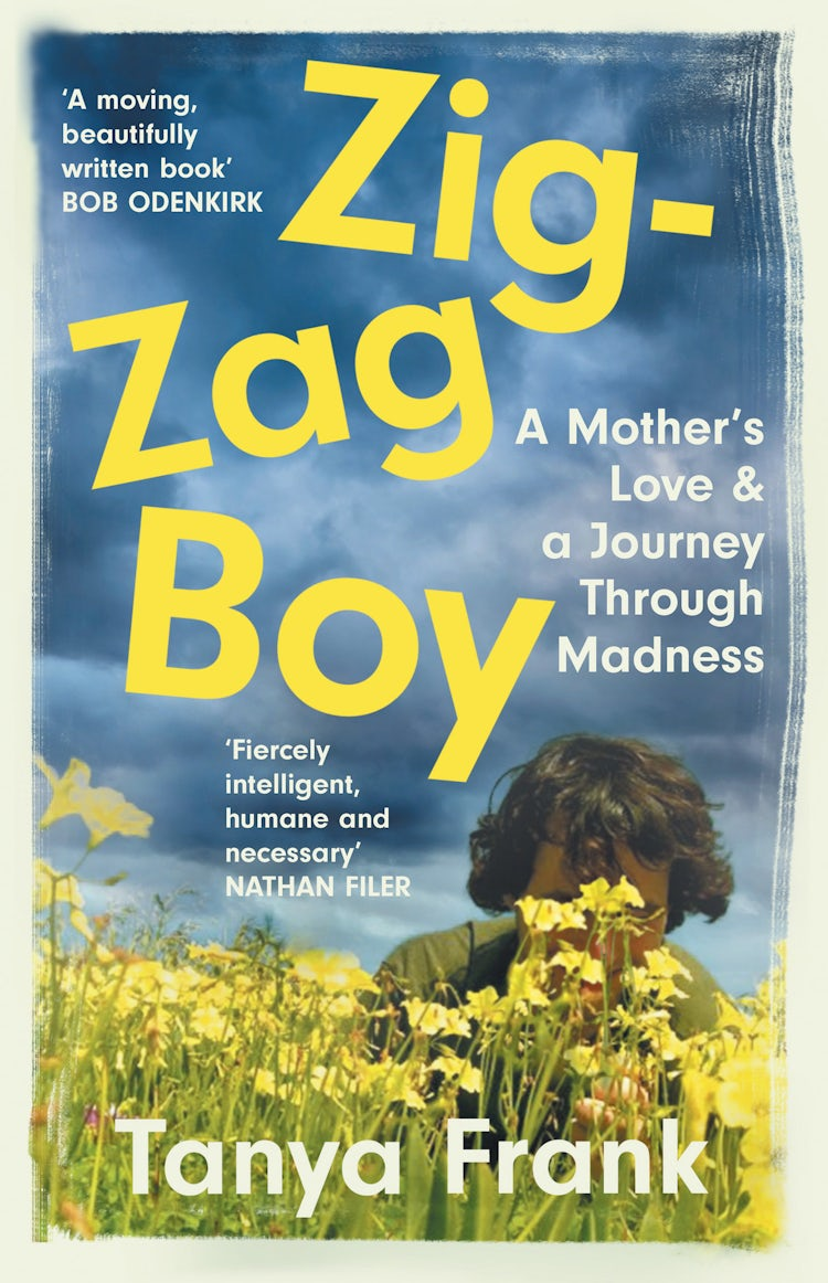 Cover image for Zig-Zag Boy: Madness, Motherhood and Letting Go, isbn: 9780008382858