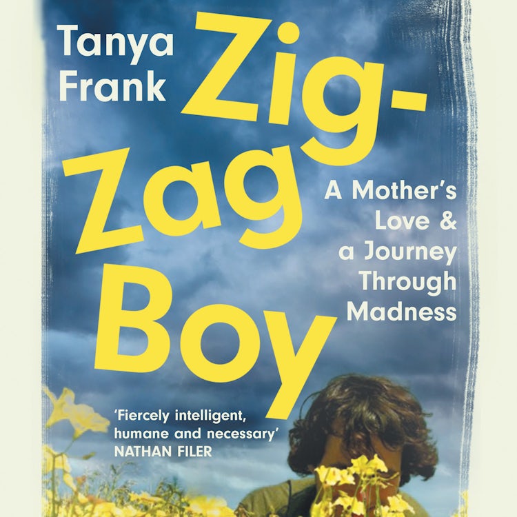 Cover image for Zig-Zag Boy: Madness, Motherhood and Letting Go, isbn: 9780008382865