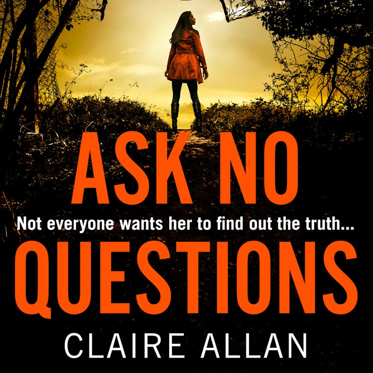 Cover image for Ask No Questions: The twisty crime thriller from the bestselling author of Her Name Was Rose, isbn: 9780008383558