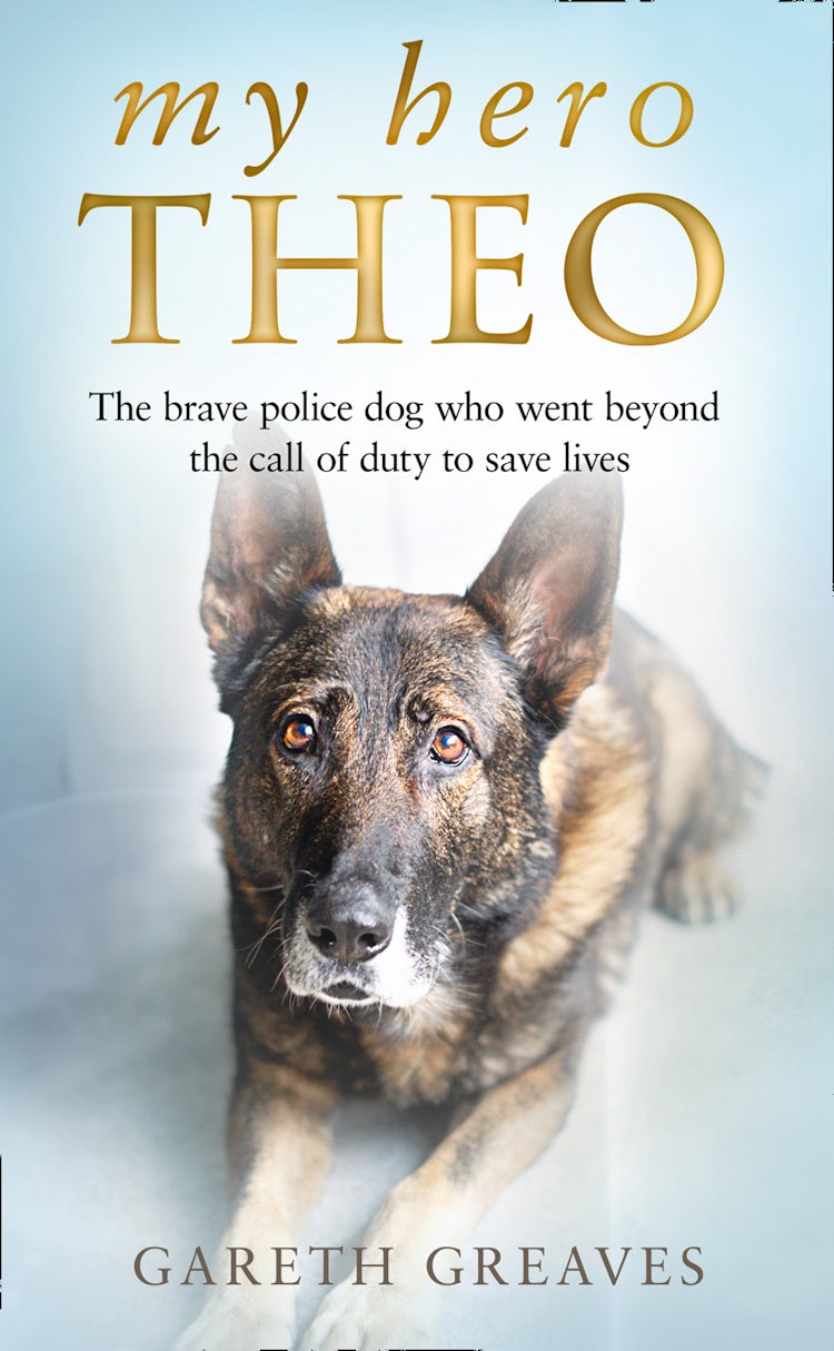 Cover image for My Hero Theo: The brave police dog who went beyond the call of duty to save lives, isbn: 9780008385255