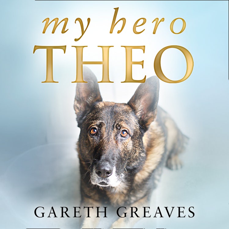Cover image for My Hero Theo: The brave police dog who went beyond the call of duty to save lives, isbn: 9780008385262