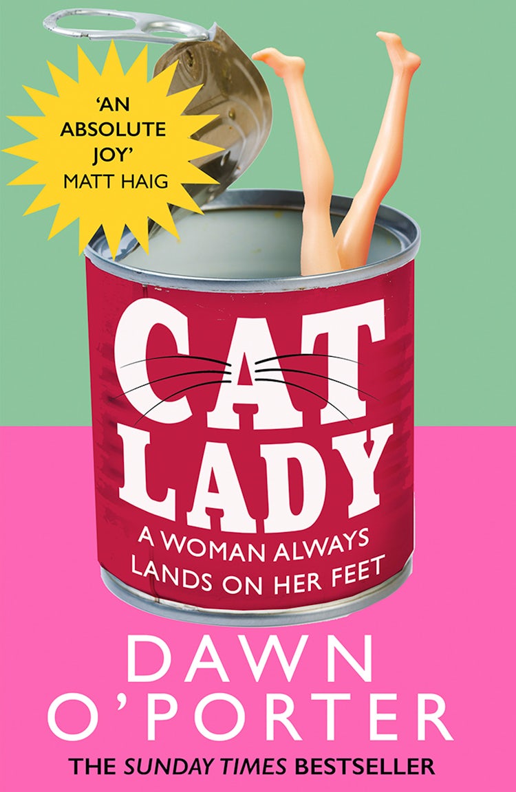 Cover image for Cat Lady, isbn: 9780008385415