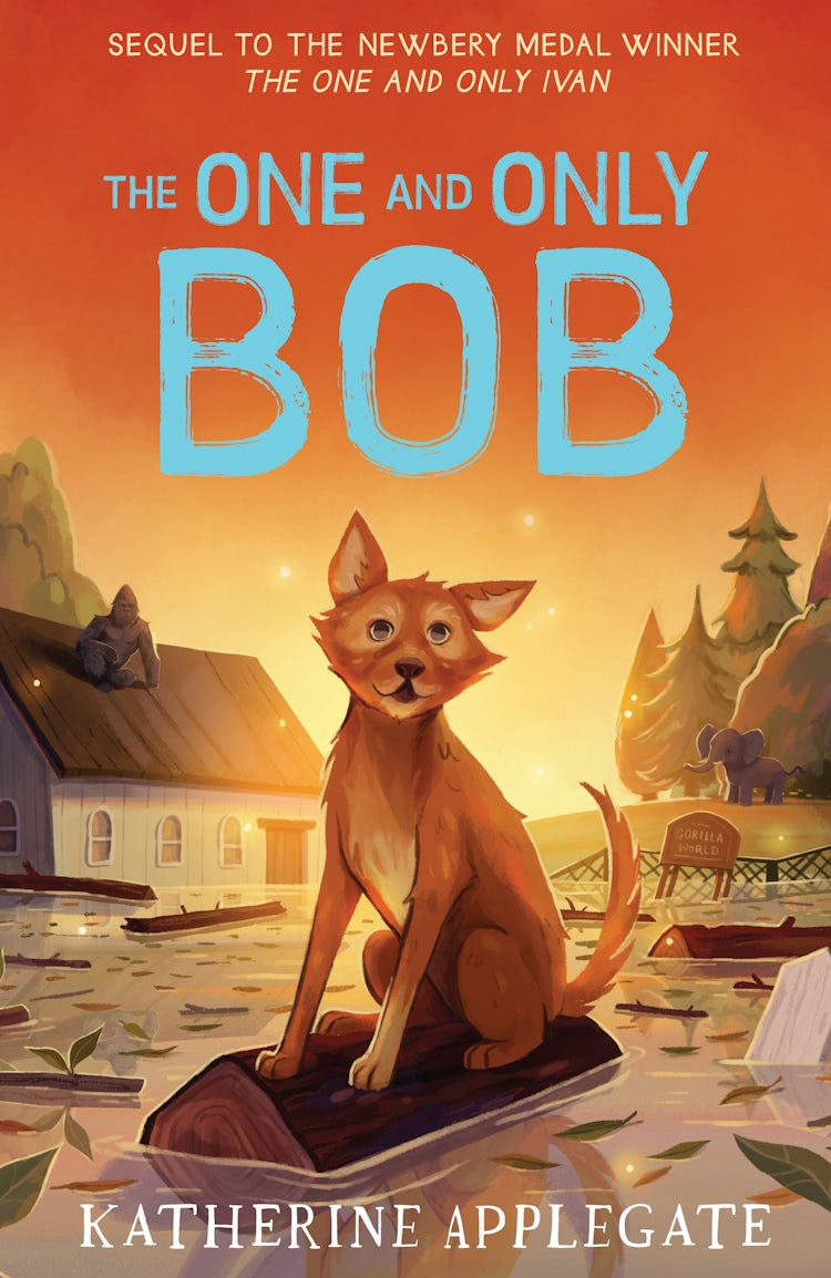 Cover image for The One and Only Bob (The One and Only Ivan), isbn: 9780008390679