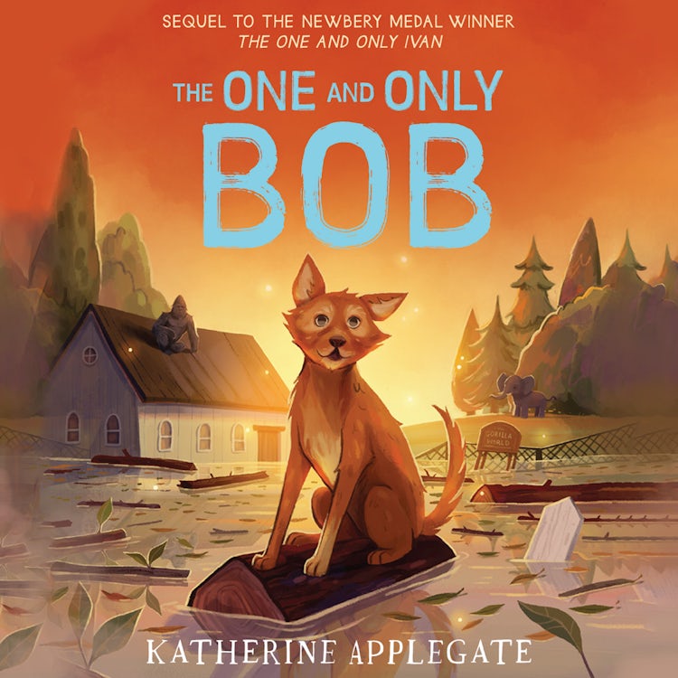 Cover image for The One and Only Bob (The One and Only Ivan), isbn: 9780008390686