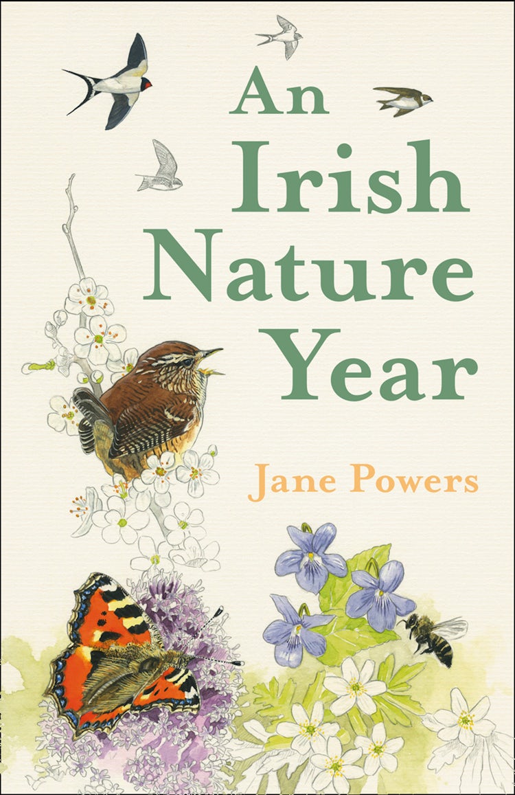 Cover image for An Irish Nature Year, isbn: 9780008392154