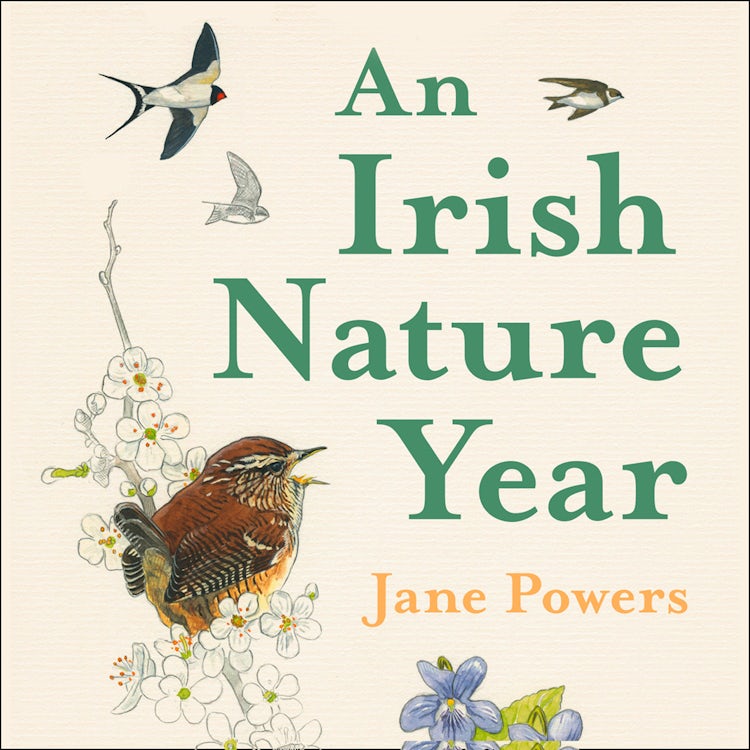 Cover image for An Irish Nature Year, isbn: 9780008392161