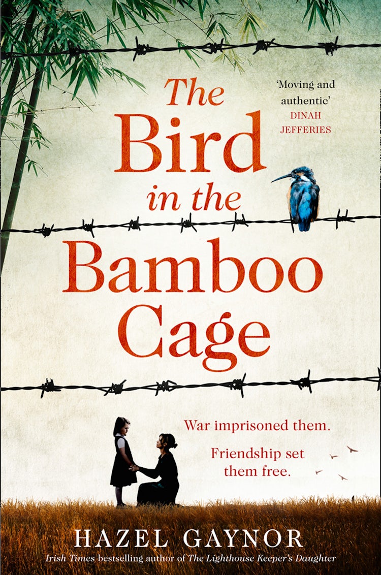 Cover image for The Bird In The Bamboo Cage, isbn: 9780008393632