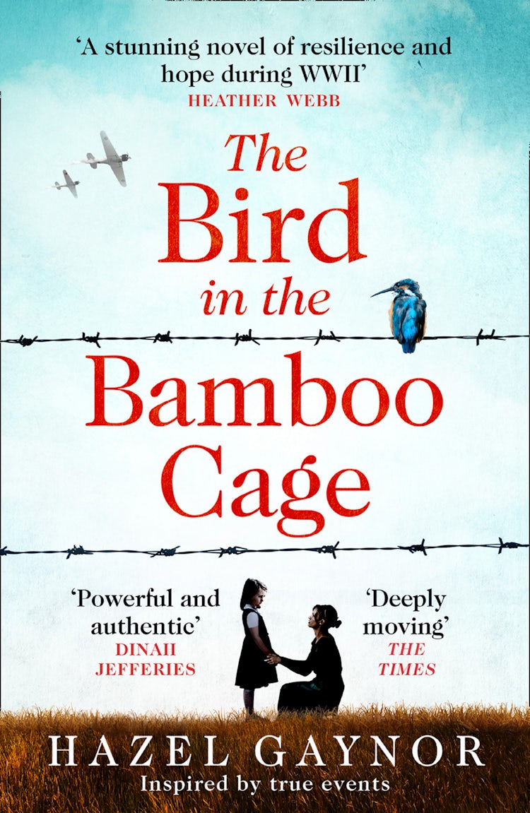 Cover image for The Bird In The Bamboo Cage, isbn: 9780008393670