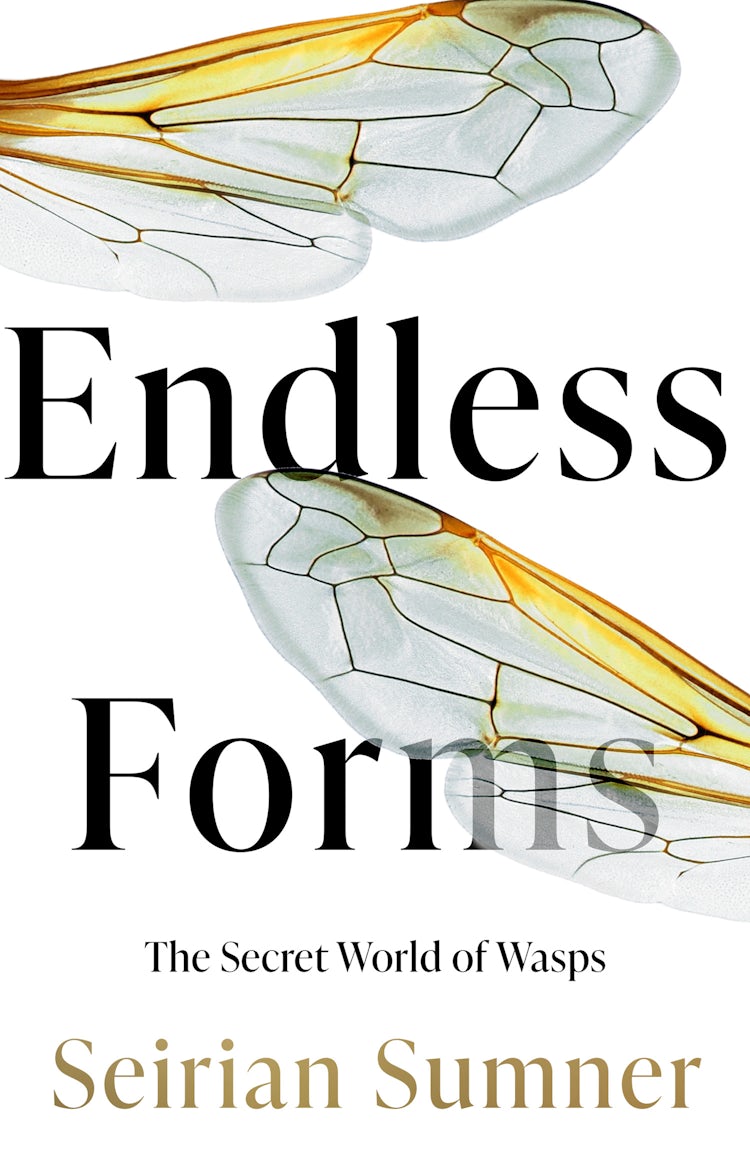 Cover image for Endless Forms: The Secret World Of Wasps, isbn: 9780008394486