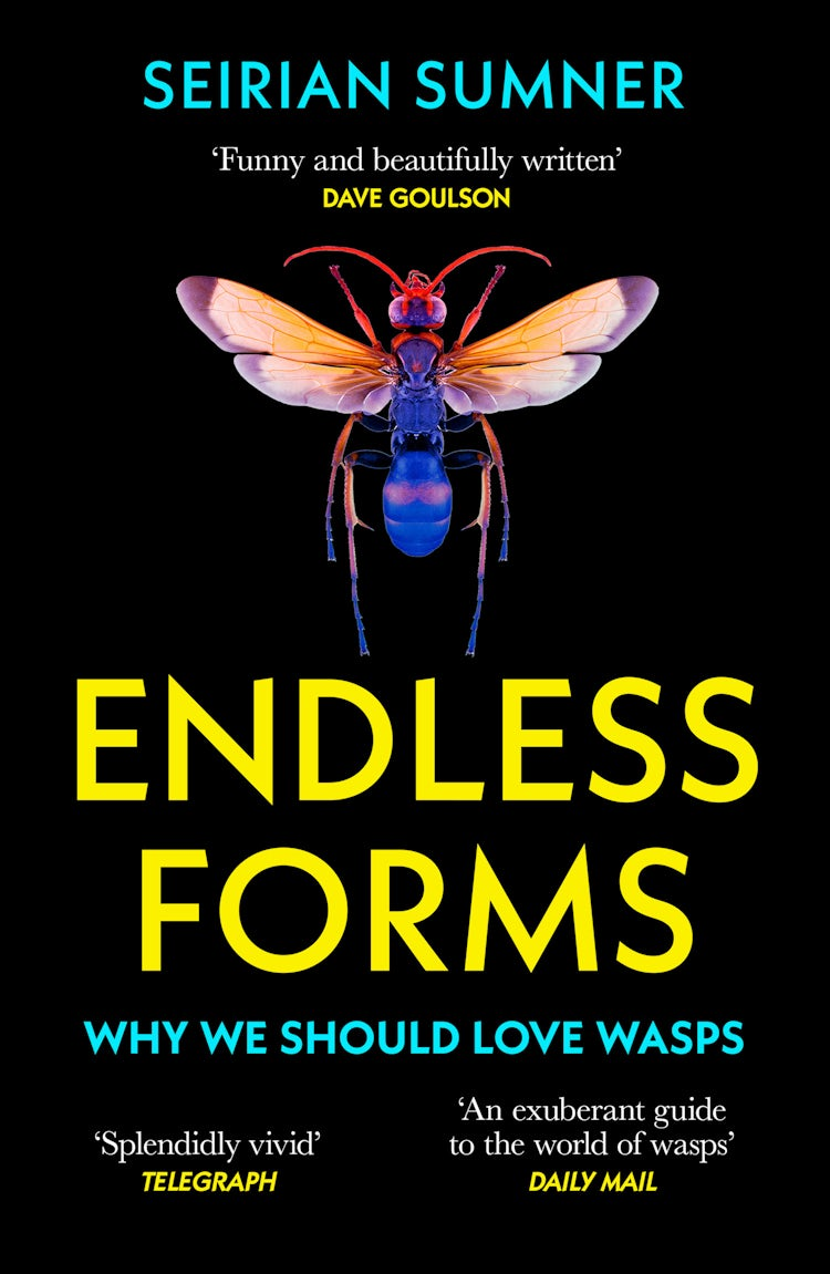 Cover image for Endless Forms: Why We Should Love Wasps, isbn: 9780008394493