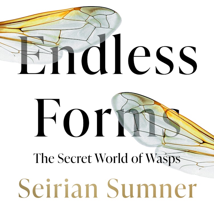 Cover image for Endless Forms: Why We Should Love Wasps, isbn: 9780008394509
