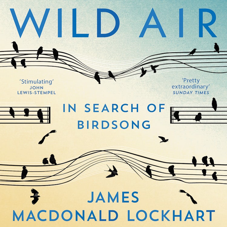 Cover image for Wild Air: In Search of Birdsong, isbn: 9780008399528