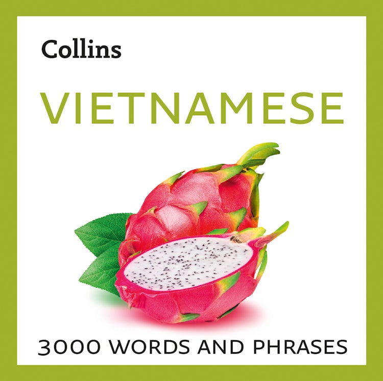 Cover image for Learn Vietnamese: 3000 Essential words and phrases, isbn: 9780008399689