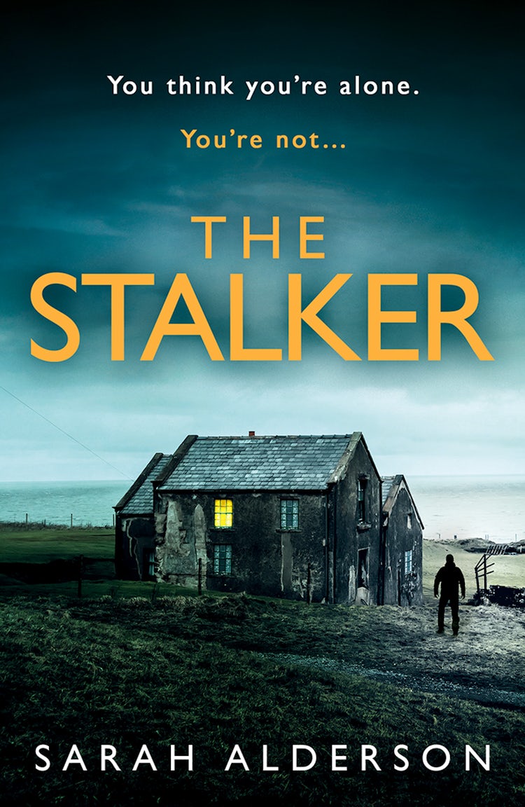 Cover image for The Stalker, isbn: 9780008400040