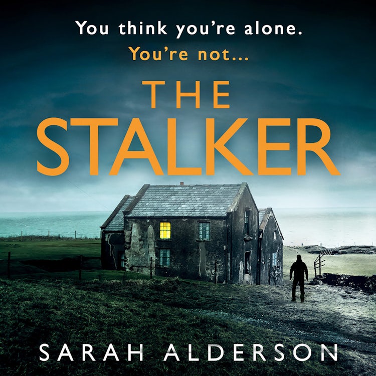 Cover image for The Stalker: A dark and gripping psychological thriller from the bestselling author of new Netflix movie, The Weekend Away, isbn: 9780008400064
