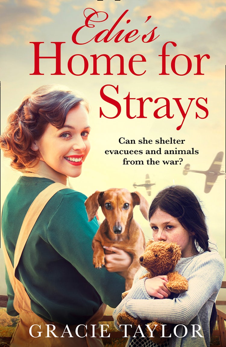 Cover image for Edie's Home For Strays, isbn: 9780008407599
