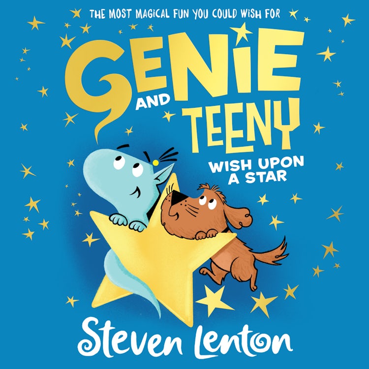 Cover image for Wish Upon A Star: The fourth in a series of hilarious illustrated children's books for ages five and up from award-winning Steven Lenton (Genie and Teeny, Book 4), isbn: 9780008408602