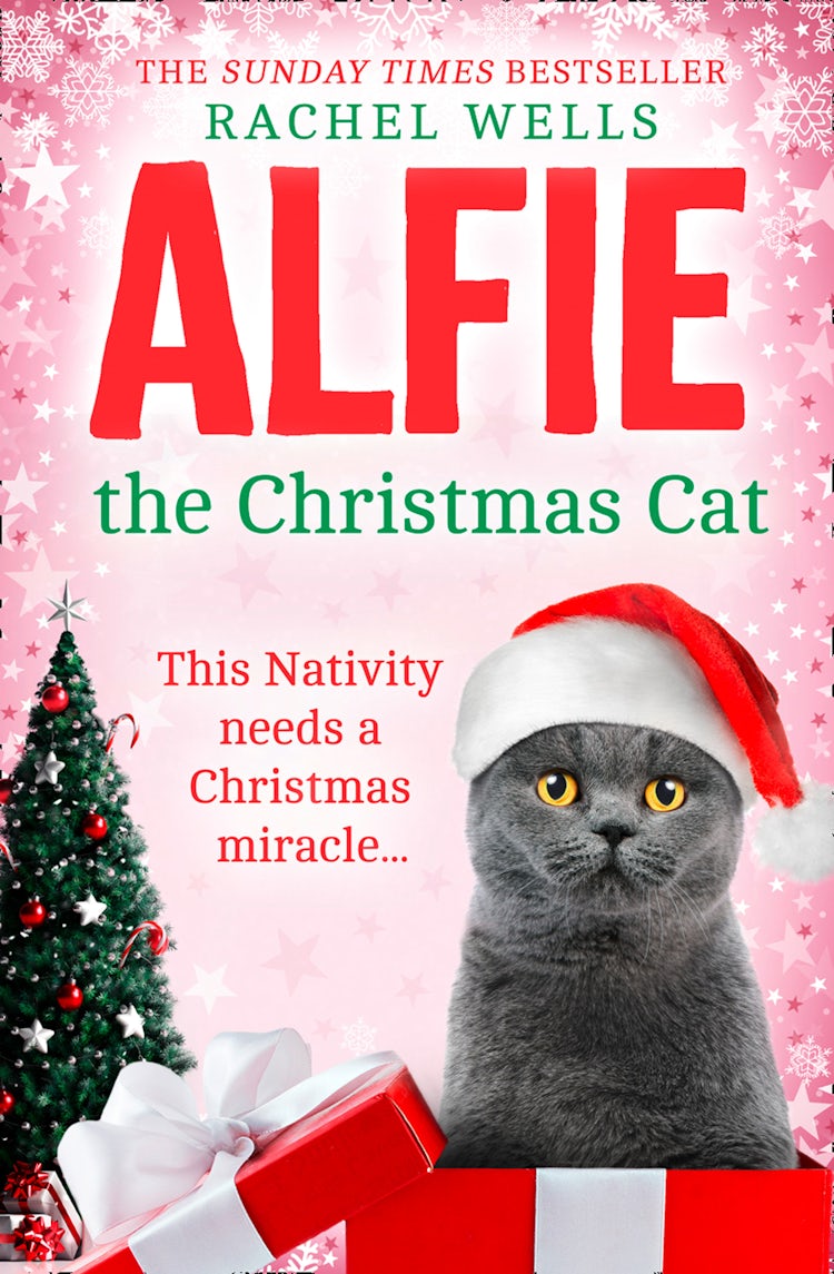 Cover image for Alfie The Christmas Cat, isbn: 9780008411978
