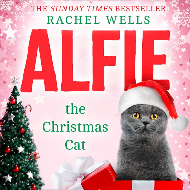 Cover image for Alfie the Christmas Cat: An uplifting festive treat from the Sunday Times bestseller (Alfie series, Book 7), isbn: 9780008411992