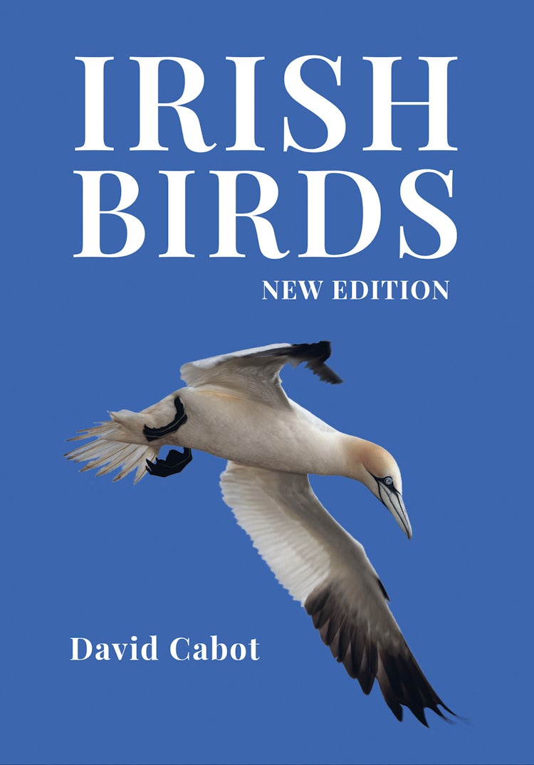 Cover image for Irish Birds [Third Edition], isbn: 9780008412715