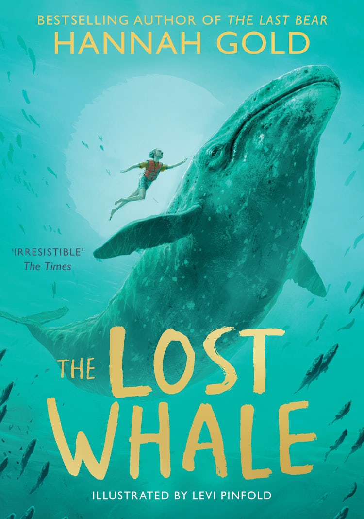 Cover image for The Lost Whale, isbn: 9780008412951