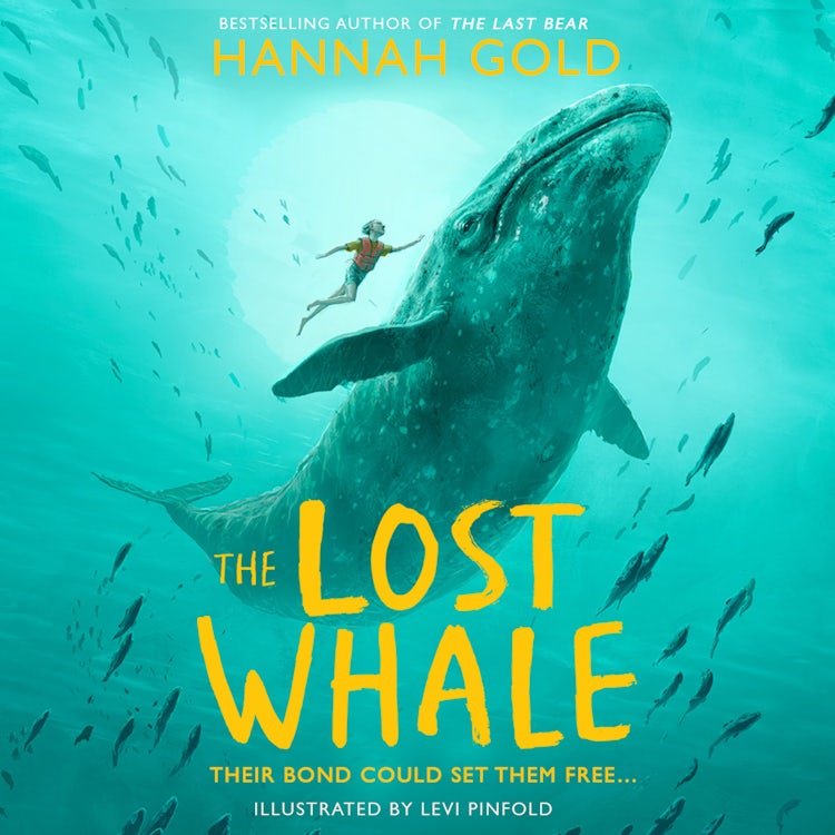 Cover image for The Lost Whale: A powerful animal adventure story for children, from the bestselling author of The Last Bear, isbn: 9780008412982