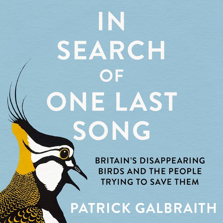 Cover image for In Search of One Last Song: Britain’s disappearing birds and the people trying to save them, isbn: 9780008420499