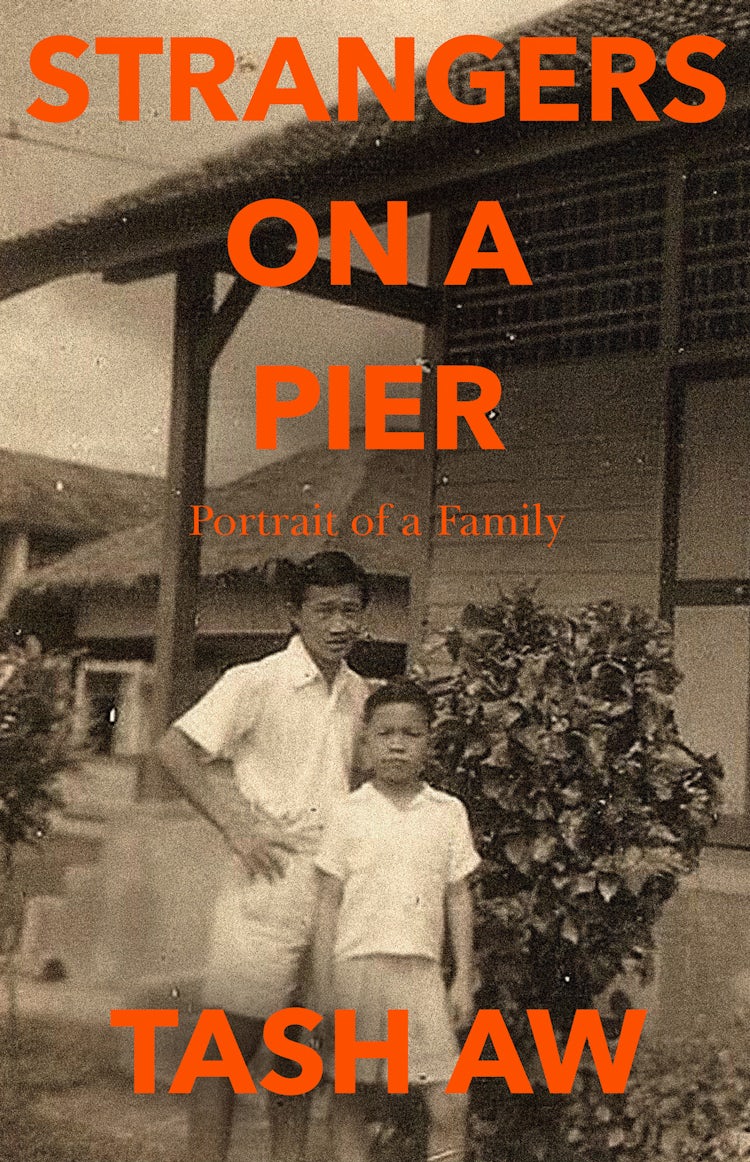 Cover image for Strangers on a Pier: Portrait of a Family, isbn: 9780008421281