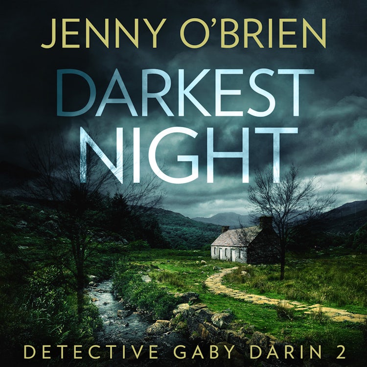 Cover image for Darkest Night: An addictive crime thriller that will have you on the edge of your seat! (Detective Gaby Darin, Book 2), isbn: 9780008421366