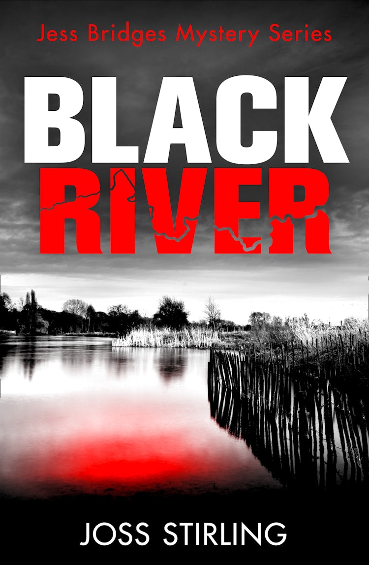 Cover image for Black River, isbn: 9780008422585