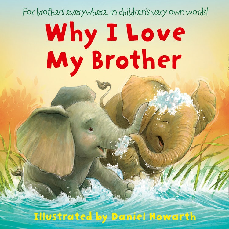Cover image for Why I Love My Brother, isbn: 9780008423056